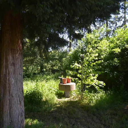 Im Obergeschoss, Homberg