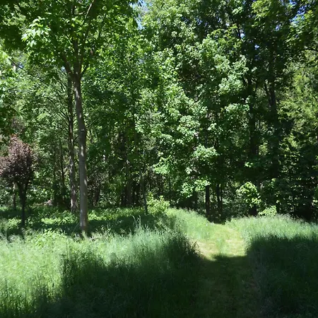 Im Obergeschoss, Homberg *