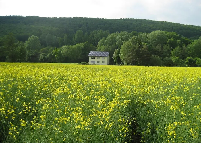 Apartment Im Obergeschoss, Homberg Homberg (Schwalm-Eder)