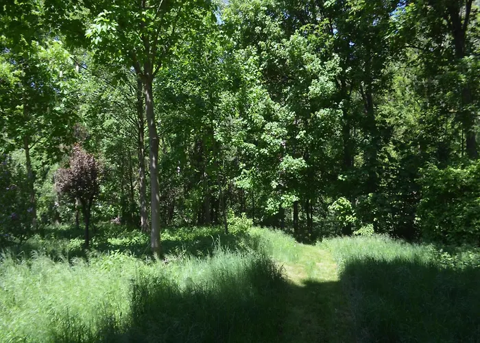 Im Obergeschoss, Homberg *